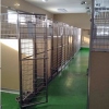 Inside Our Kennels